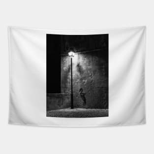 Light and shade Tapestry