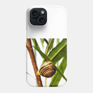 Linger - Snail Phone Case