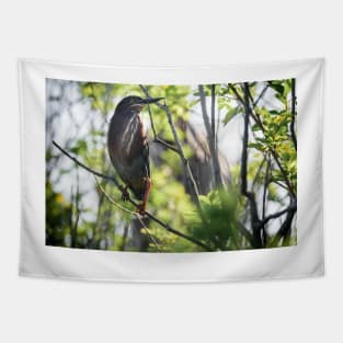 Green Heron Tapestry