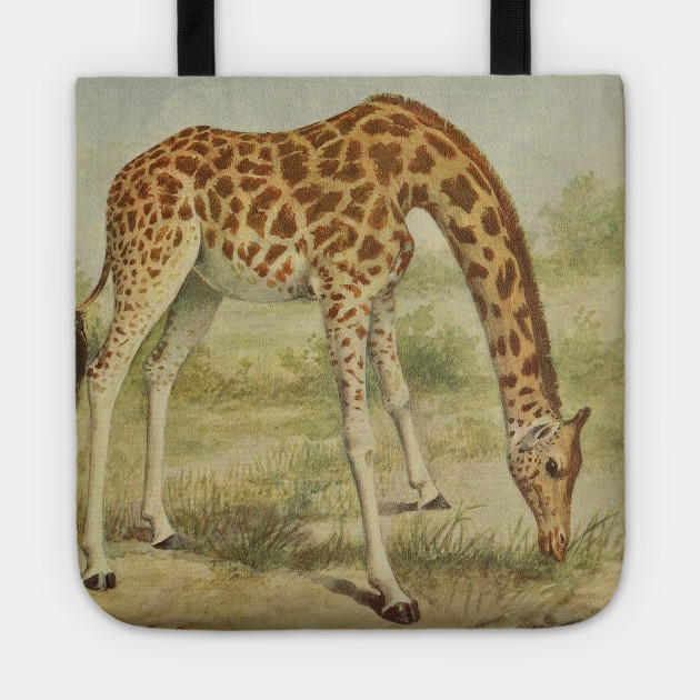 Selection of sizes available Vintage Giraffe illustration on Canvas Tote