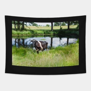 A Holstein Friesian cow grazing on a green pasture Tapestry