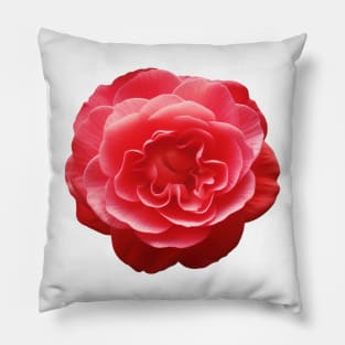 Red Camellia Flower Art Print Pillow