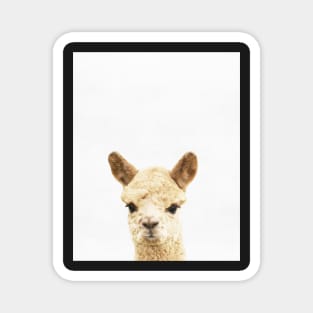 Alpaca print, Nursery decor, Animal art, Wall Art, Minimalist Magnet