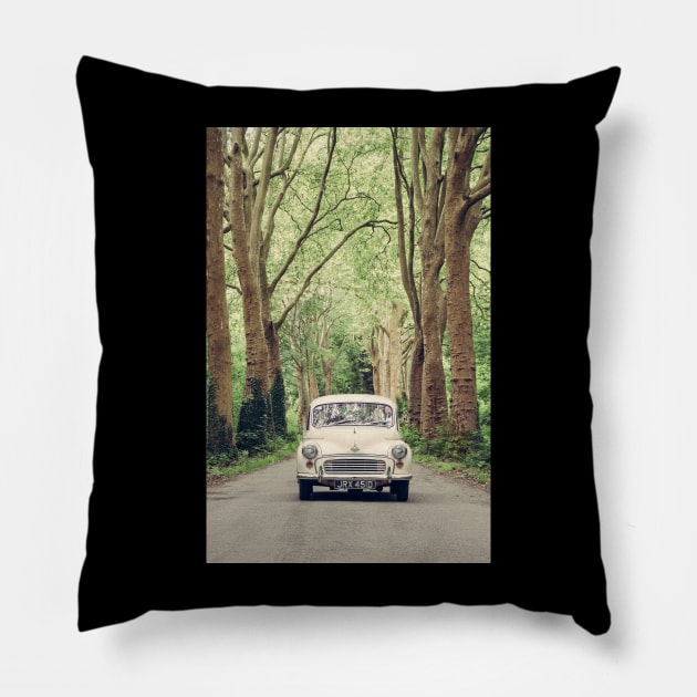 Travelling to Switzerland Pillow by Debra Cox 