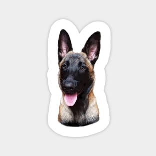 Belgian Malinois Puppy Dog Magnet