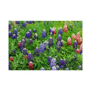 Field of Multicolored Bluebonnets T-Shirt