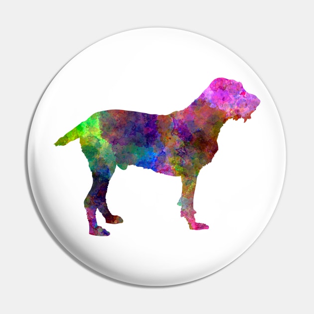 Spinone in watercolor Pin by PaulrommerArt