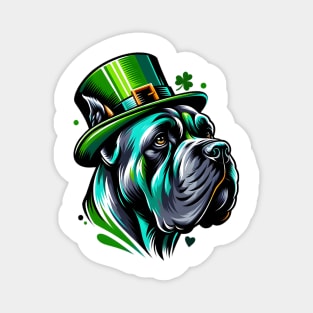 Cane Corso Portrait Celebrating Saint Patrick's Day Magnet