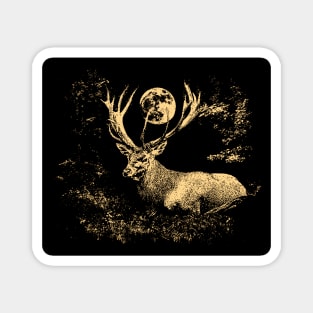 Red deer in the evening forest Magnet