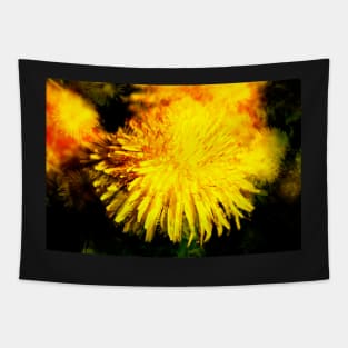 Dandelion blossom, abstract, macro shot, dandelion, flower Tapestry