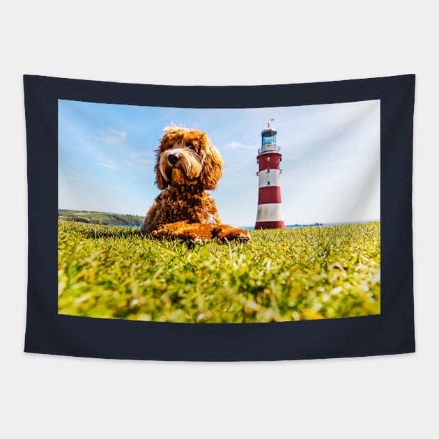 Dog As Big As A Lighthouse Tapestry by tommysphotos