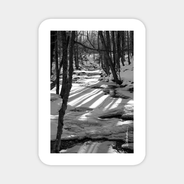 Snowshoeing Gifford Woods Magnet by srwdesign