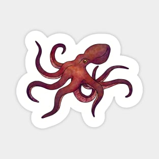 Octopus Magnet