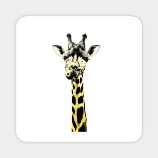 Giraffe design in pencil technique Magnet