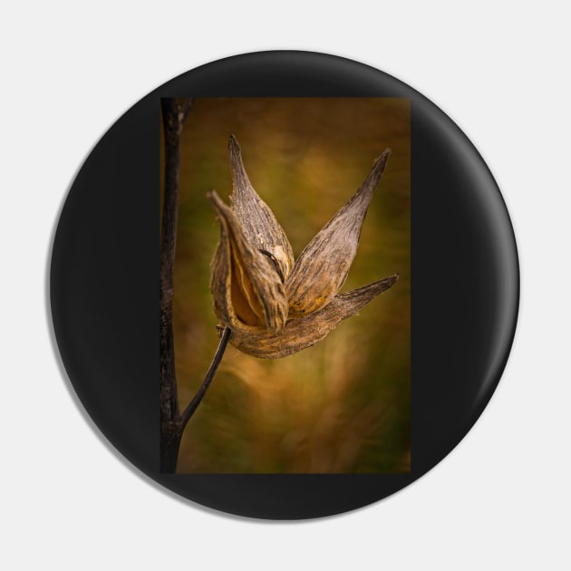 Horicon Marsh - Seed Pod in Golden Tones Pin by machare