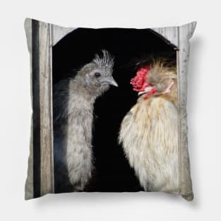 Looking Sunny Out There, Chook Pillow