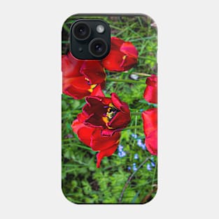 Flowers blooming in the garden. Phone Case