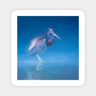 Tricolored heron in morning mist Magnet