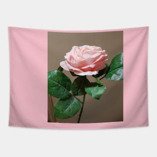 A pink rose Tapestry