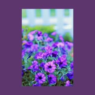 Camiseta con petunias moradas frente a una valla blanca