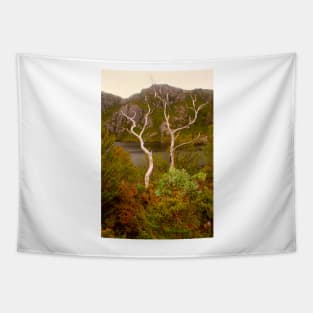 Skeletal trees on Crater Lake Tapestry