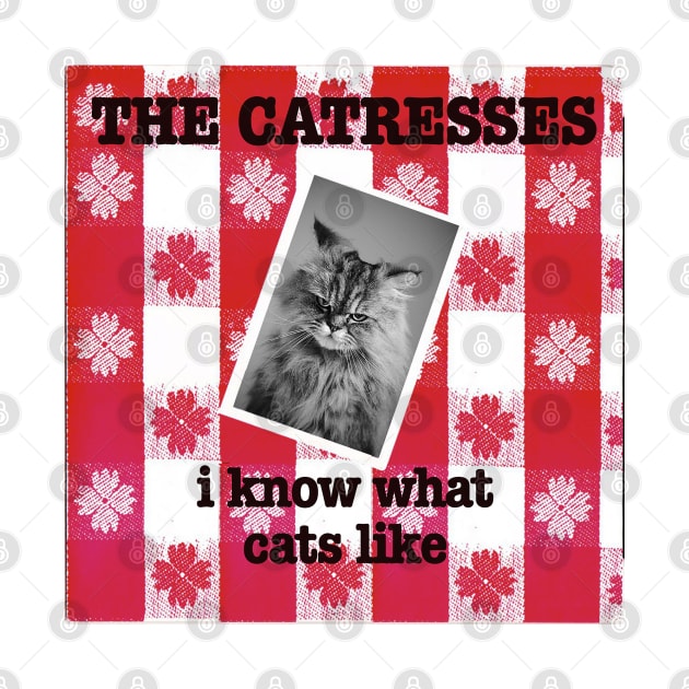 The Catresses - i know what cats like by Punk Rock and Cats