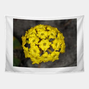 Abronia latifolia (coastal yellow sand-verbena) flower Tapestry