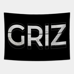 Griz Kinetic Typography Tapestry