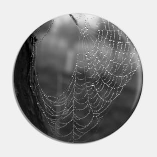 Spiderweb Necklace Pin