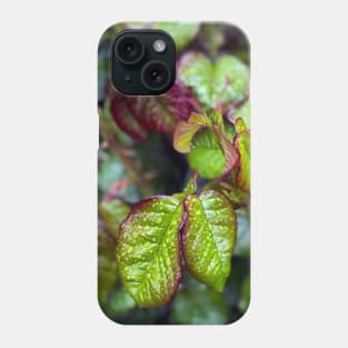 Spring Rain on Leaves Phone Case