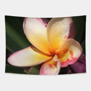 Caribbean Tropical Flower Tapestry