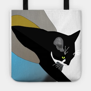 Cute Tuxedo Cat needs a bigger Igloo bed Copyright TeAnne Tote