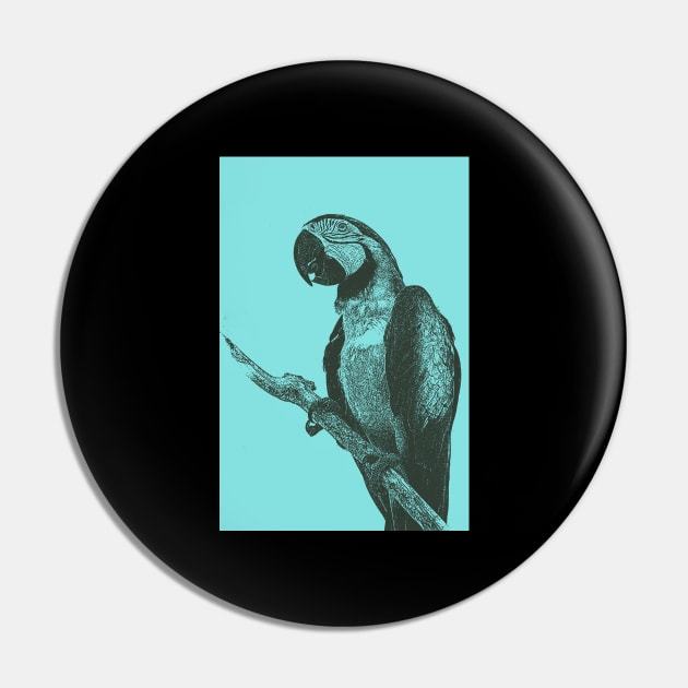 Macaw Bitmap Effect Pin by Animalloova