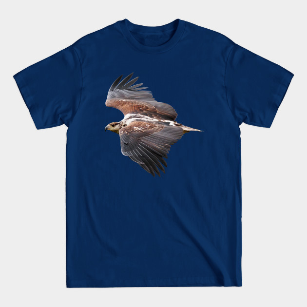 Discover Falcon Present Bird Lovers T-Shirt Nature Tropical - Falcons - T-Shirt