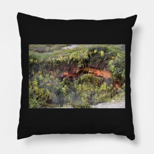 Nouvelle Zélande - Rotorua, Te Puia Pillow