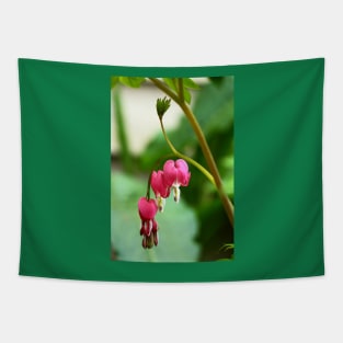 Bleeding Hearts Tapestry