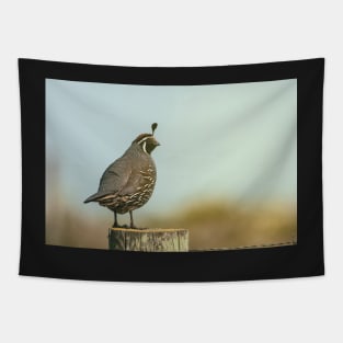 California Quail Tapestry