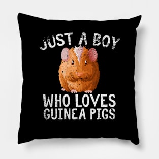 Just A Boy Who Loves Guinea pigs Pillow