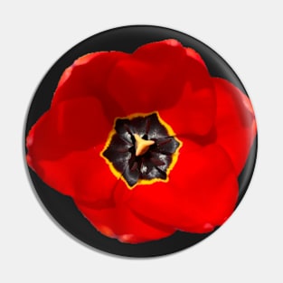 Red Flower Pin