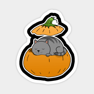 Pumpkin Cat Magnet