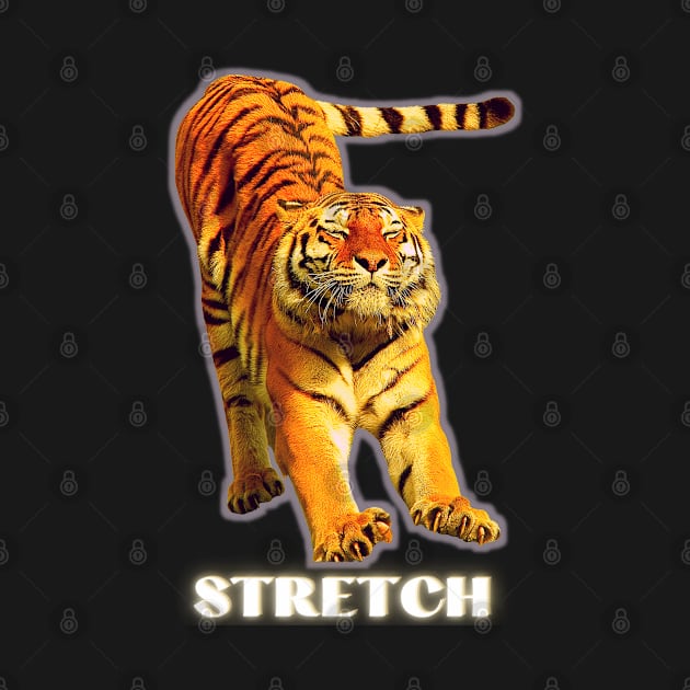 Stretch by a large tiger - white text 1 by Blue Butterfly Designs 