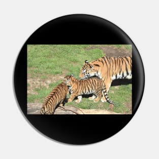 Tiger Family Pin