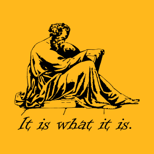 It Is What It Is T-Shirt