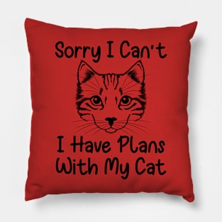 Sorry I can't I have plans with my cat Pillow