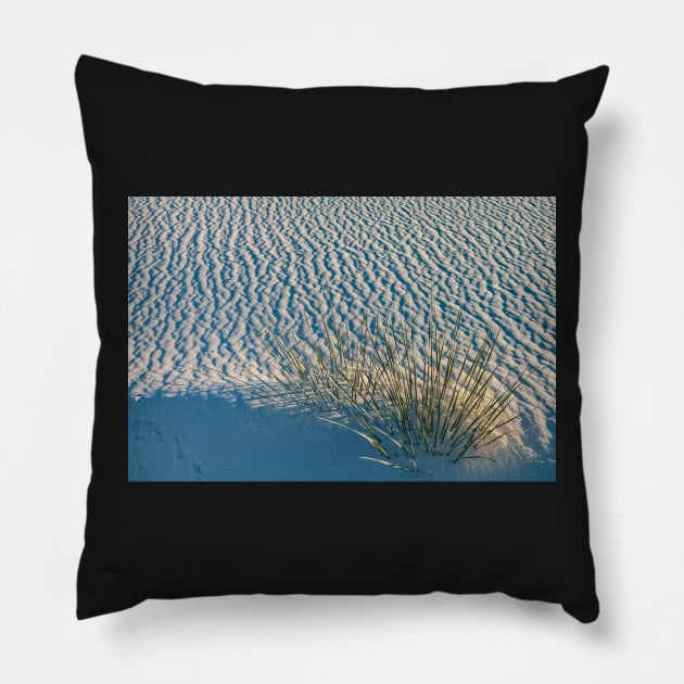 Yucca in White Sand Pillow by jvnimages