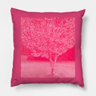 Cherry Blossoms Japanese Cherry Tree Pillow