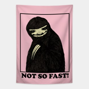 Not So Fast! Sloth Tapestry