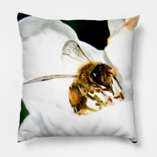 Bee 1 Pillow
