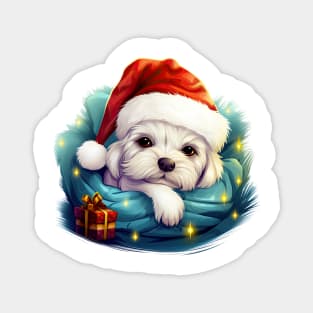 Lazy Maltese Dog at Christmas Magnet