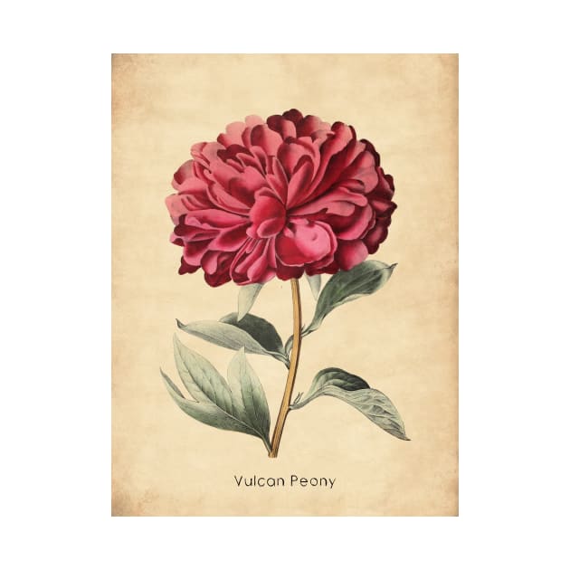 Vulcan Peony by ptMaker